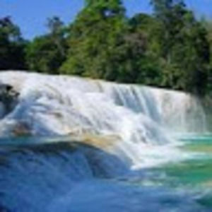 Meet your Posher, Leticia